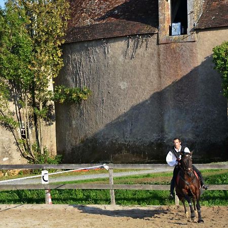 Château des Noces Bazoges-en-Pareds Ngoại thất bức ảnh